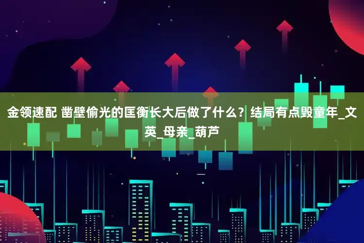 金领速配 凿壁偷光的匡衡长大后做了什么？结局有点毁童年_文英_母亲_葫芦