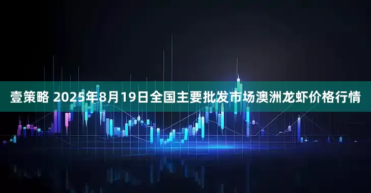 壹策略 2025年8月19日全国主要批发市场澳洲龙虾价格行情