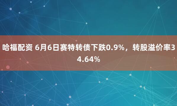 哈福配资 6月6日赛特转债下跌0.9%，转股溢价率34.64%