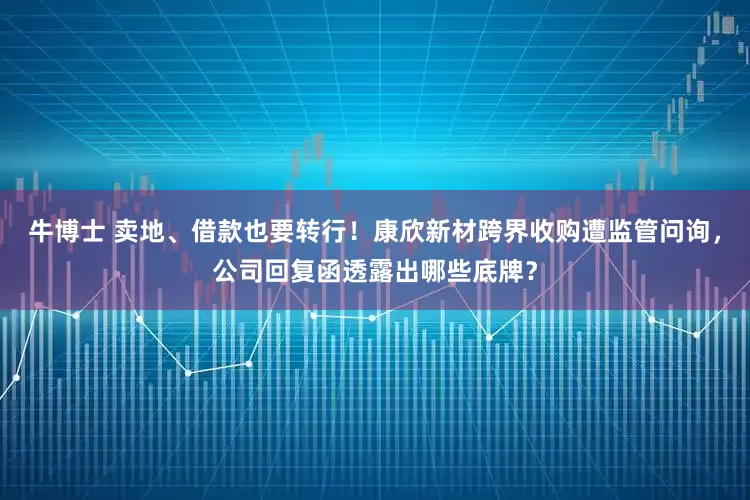 牛博士 卖地、借款也要转行！康欣新材跨界收购遭监管问询，公司回复函透露出哪些底牌？